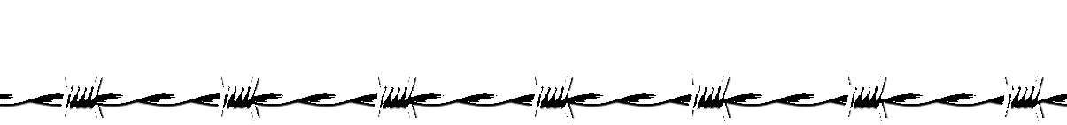 Dogfight Distro